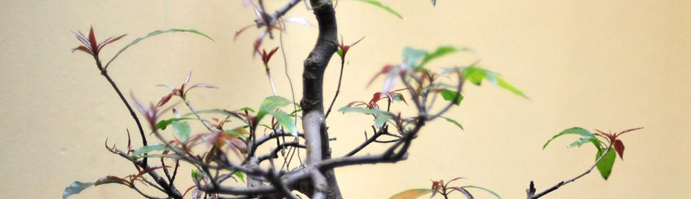 Tim's Blog